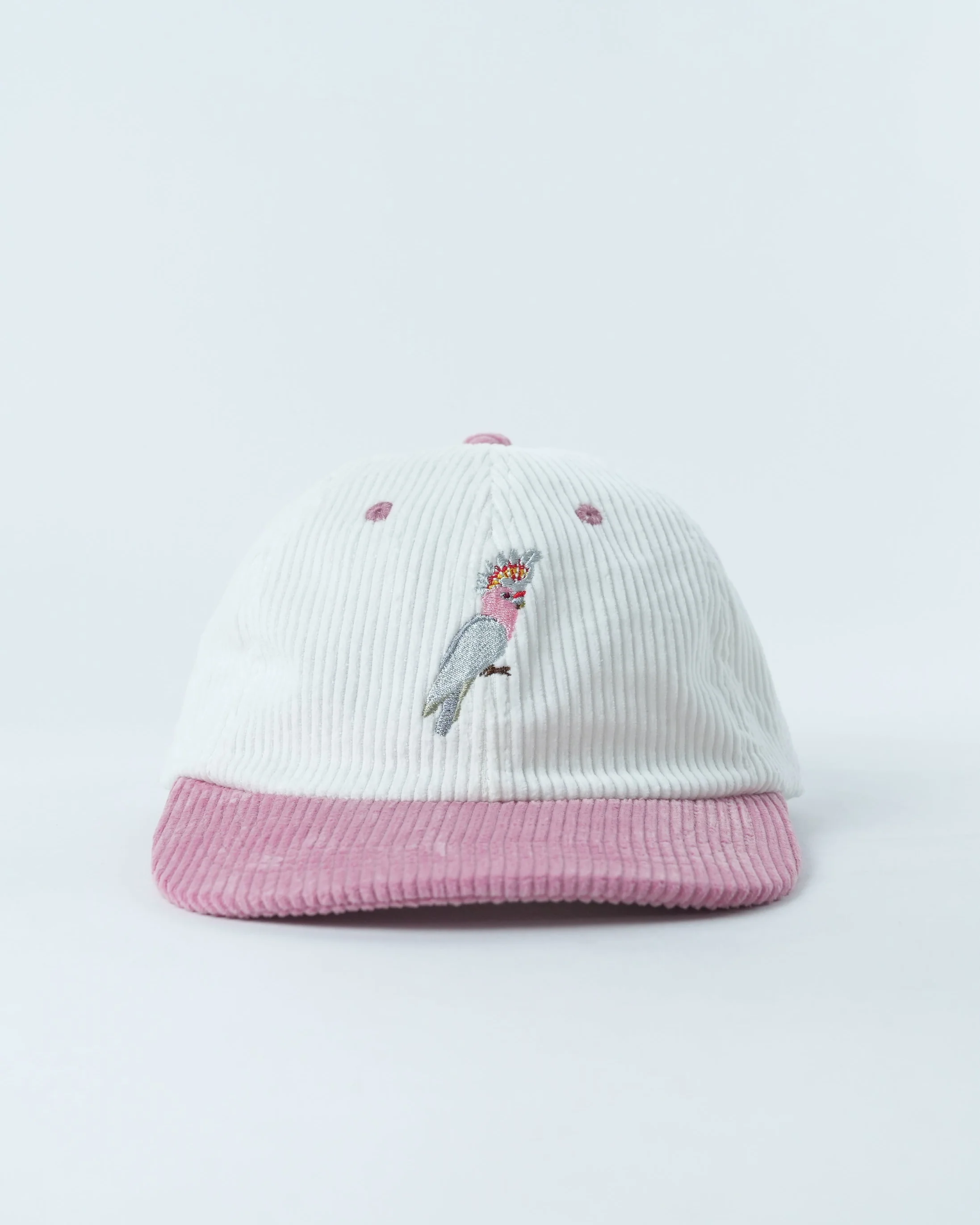 Animal hats
